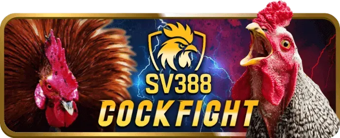 Các kênh liên hệ và địa chỉ 898bet